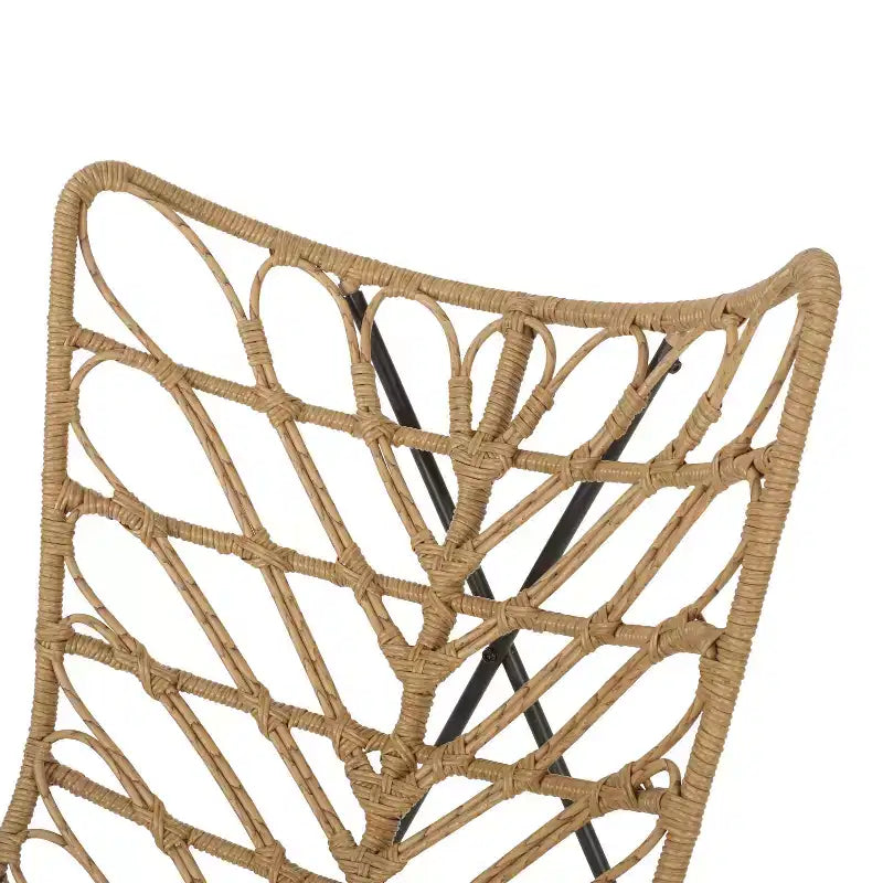 Christopher Knight Home Lot de 2 fauteuils d'appoint d'extérieur en osier Byson, marron clair/noir