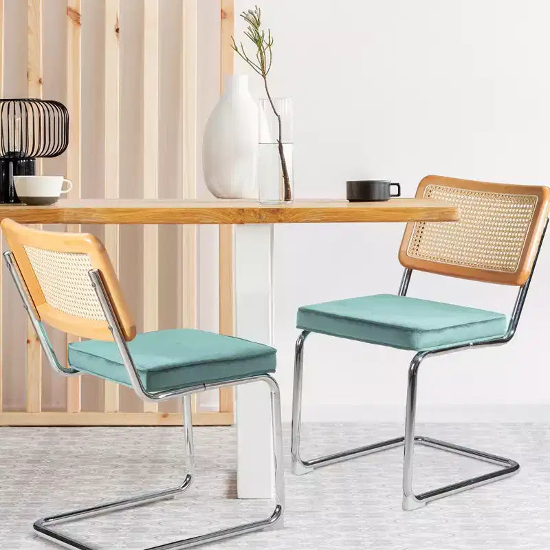 UPTIOT Chaise d'appoint en velours (Lot de 2)