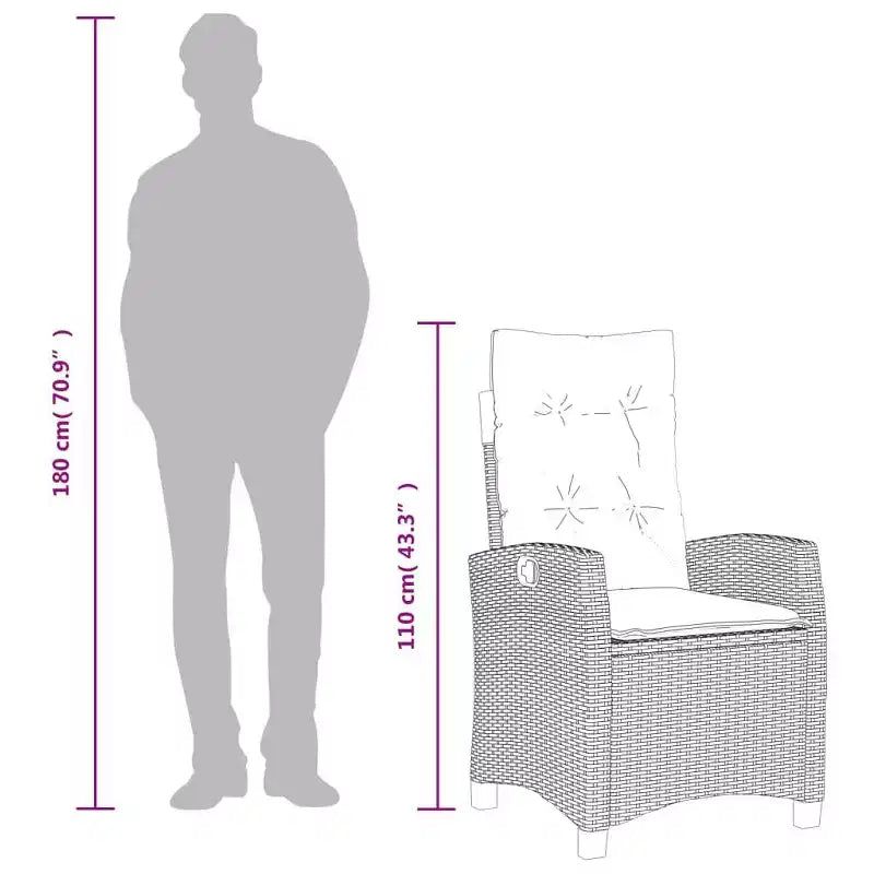 vidaXL Chaises de jardin inclinables avec coussins - Lot de 2, Résine tressée grise, Dossier réglable, Sièges de jardin résistants aux intempéries