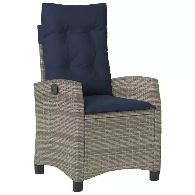 vidaXL Chaises de jardin inclinables avec coussins - Lot de 2, Résine tressée grise, Dossier réglable, Sièges de jardin résistants aux intempéries