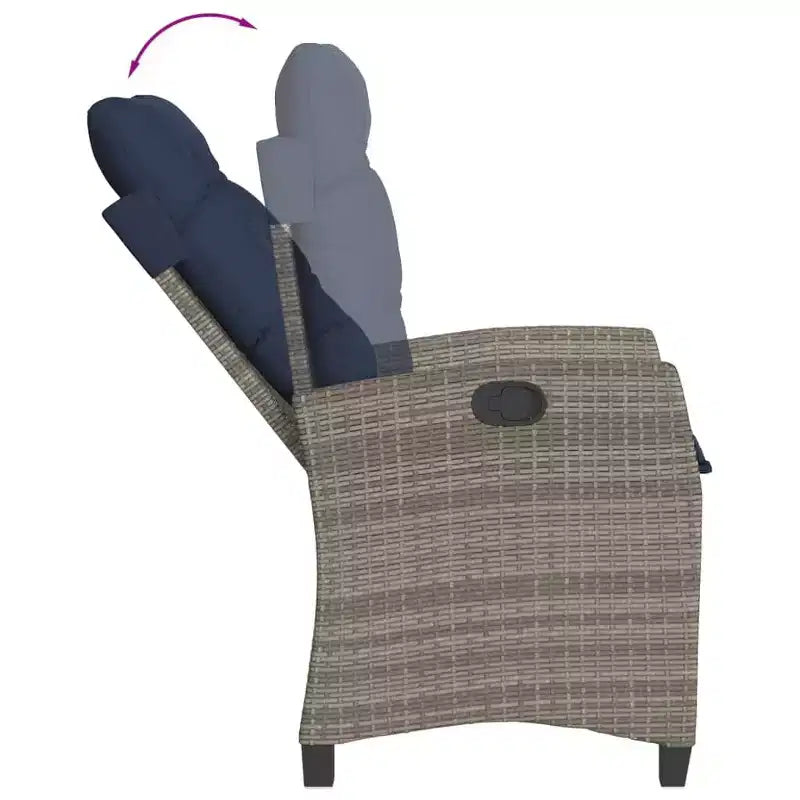vidaXL Chaises de jardin inclinables avec coussins - Lot de 2, Résine tressée grise, Dossier réglable, Sièges de jardin résistants aux intempéries