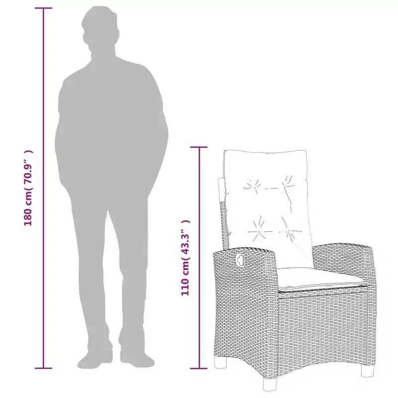 vidaXL Chaise de jardin inclinable gris rotin PE Standard