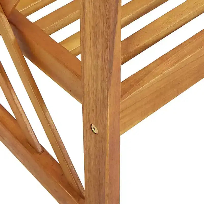 vidaXL Ensemble de 2 chaises de jardin Bois naturel Bois d'acacia massif - Marron