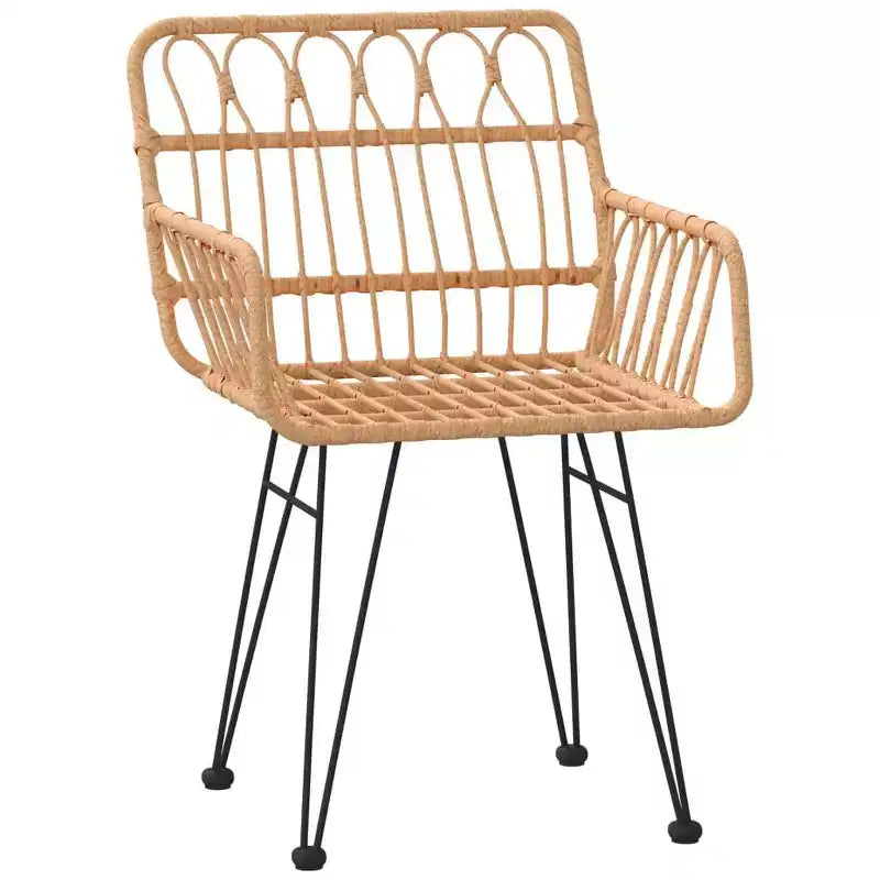 vidaXL Chaises de jardin avec accoudoirs en résine tressée, 2 pcs
