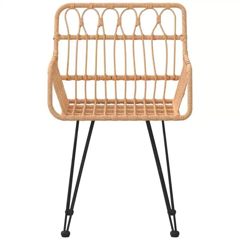 vidaXL Chaises de jardin avec accoudoirs en résine tressée, 2 pcs