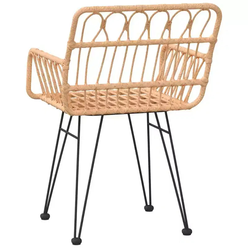 vidaXL Chaises de jardin avec accoudoirs en résine tressée, 2 pcs