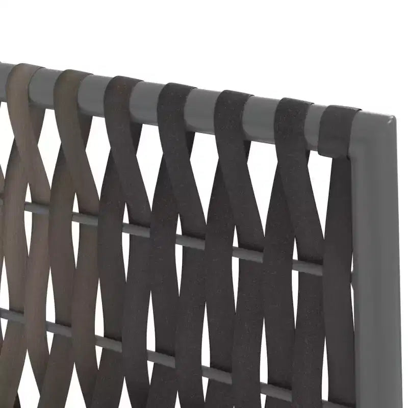 vidaXL Chaises de jardin, 6 pcs, rotin synthétique et acier poudré