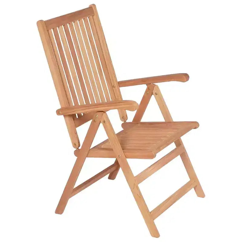 vidaXL Chaises de jardin 6 pcs Teck Bois de teck massif Pliantes
