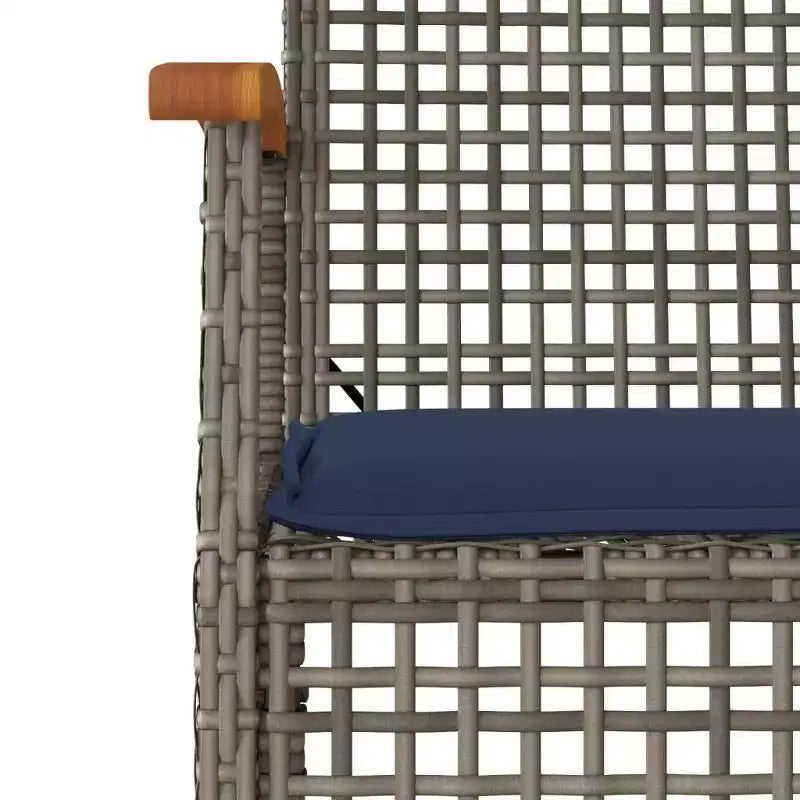 vidaXL Chaise de jardin Gris et marron