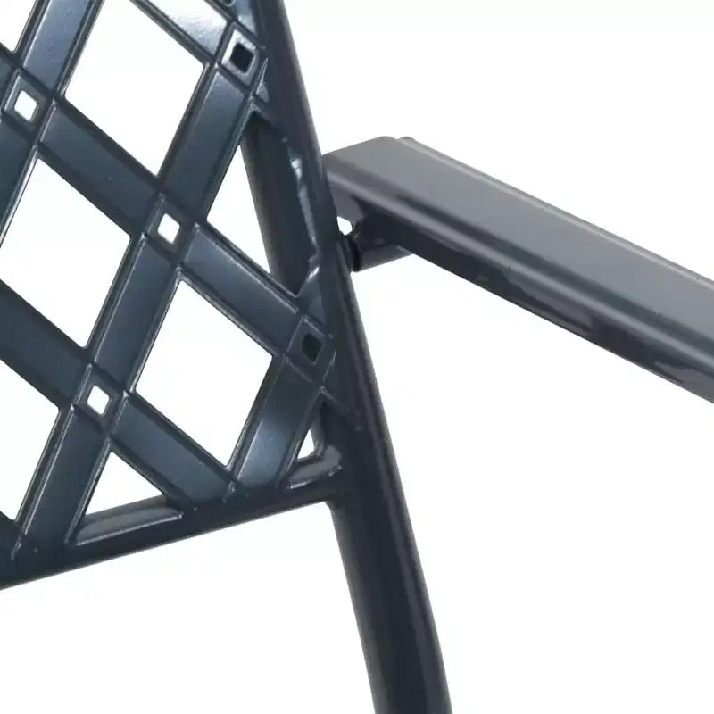 vidaXL Chaises de jardin 4 pcs Anthracite 56 x 65 x 89 cm Acier