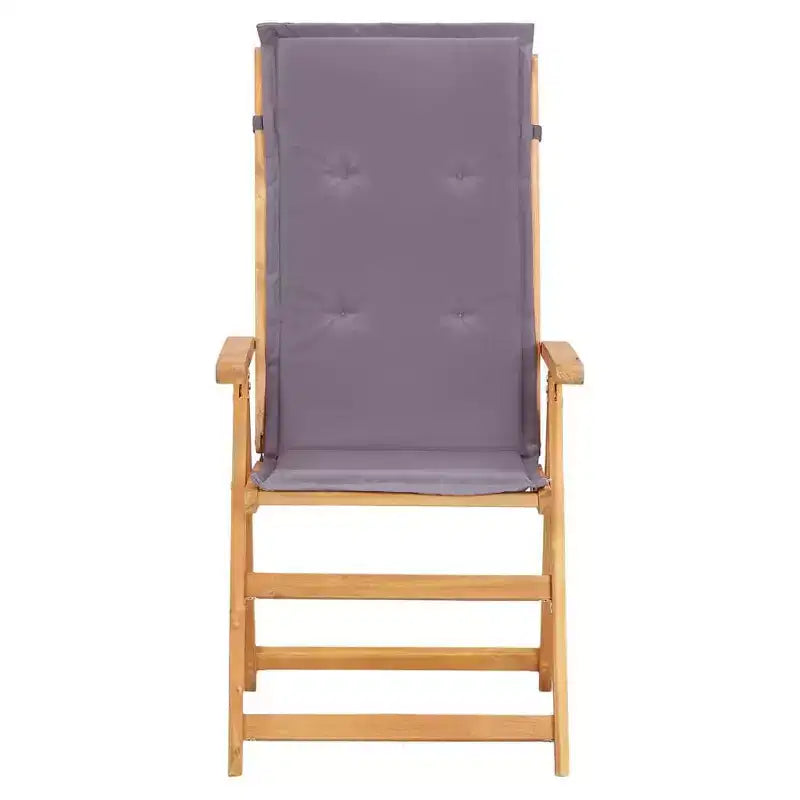 vidaXL Chaises de jardin, 2 pcs, gris foncé