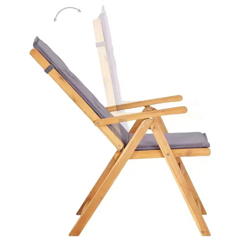 vidaXL Chaises de jardin, 2 pcs, gris foncé