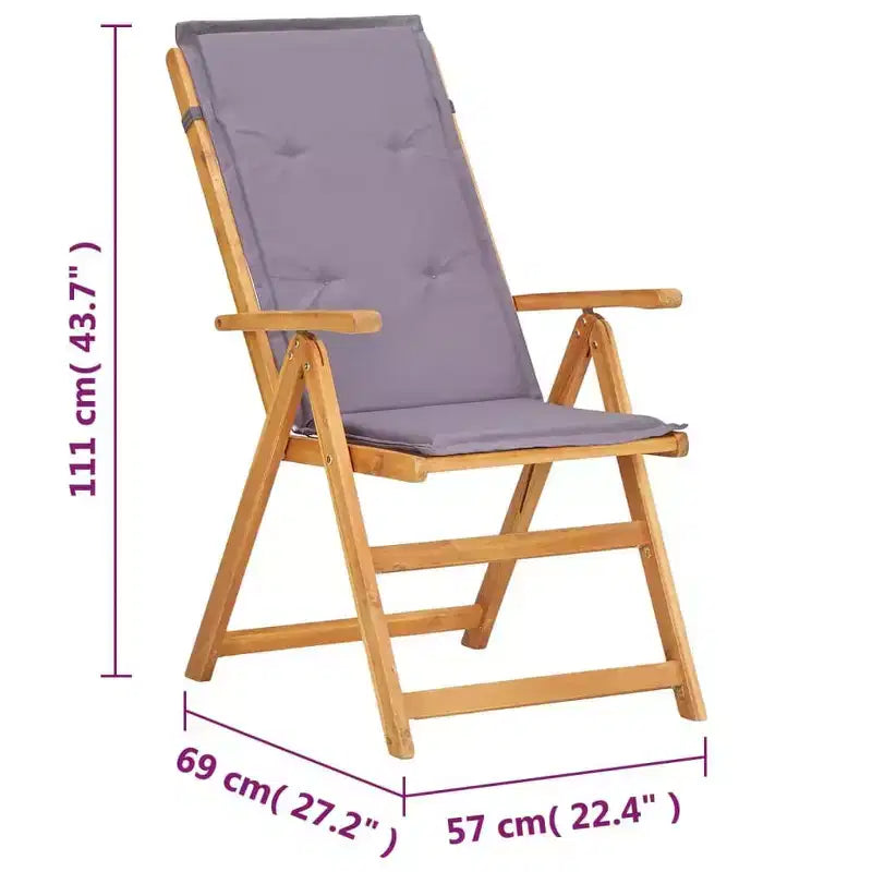 vidaXL Chaises de jardin, 2 pcs, gris foncé