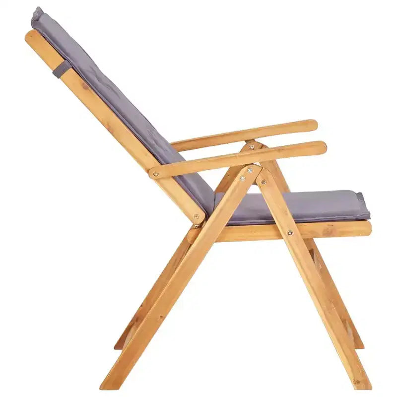 vidaXL Chaises de jardin, 2 pcs, gris foncé