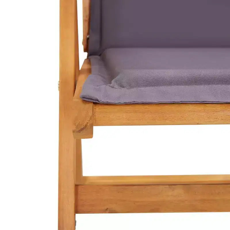 vidaXL Chaises de jardin, 2 pcs, gris foncé