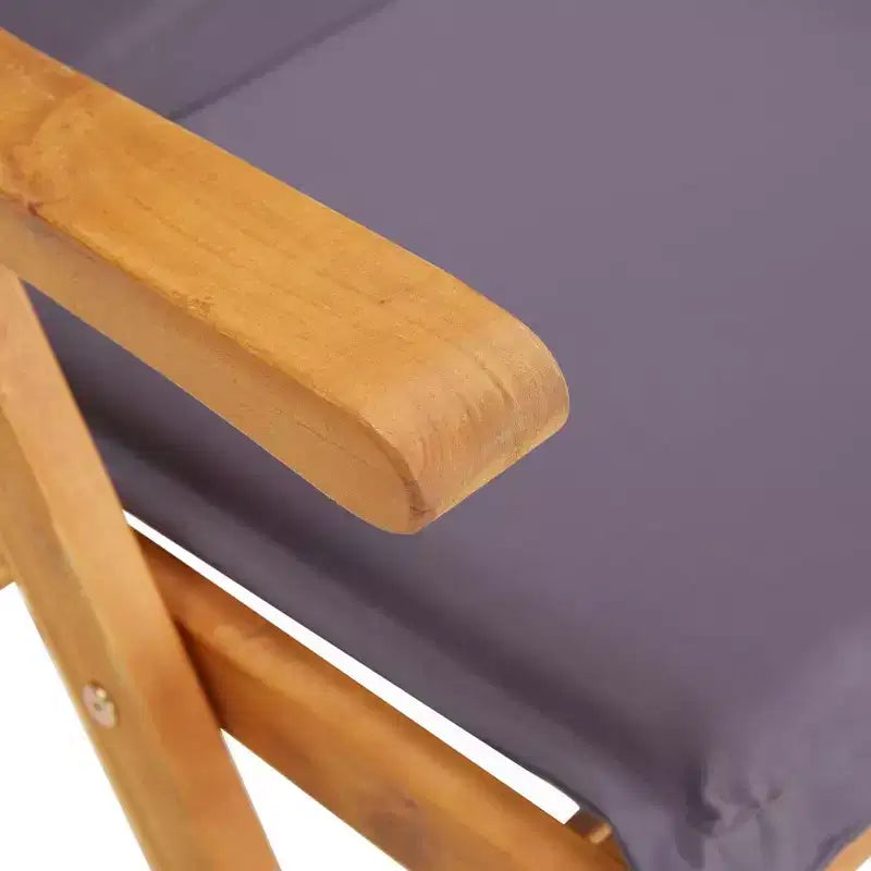 vidaXL Chaises de jardin, 2 pcs, gris foncé