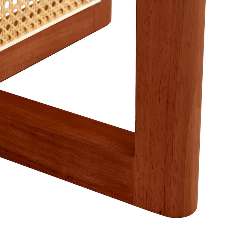 table basse en bois avec accents en rotin synthétique