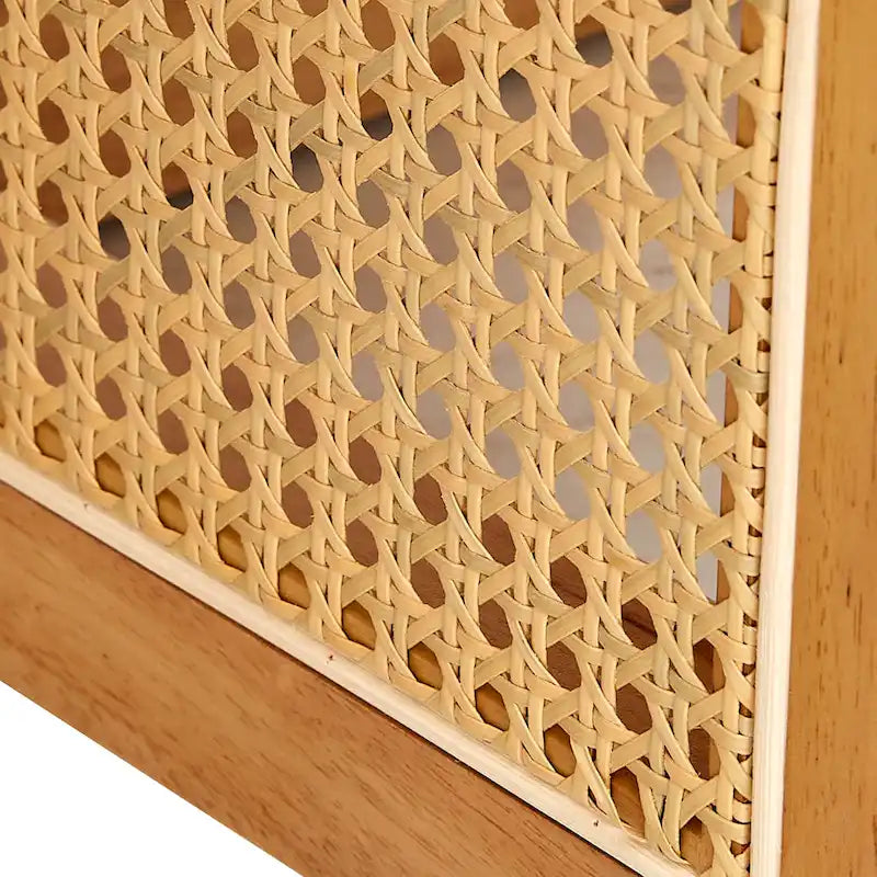 table basse en bois avec accents en rotin synthétique