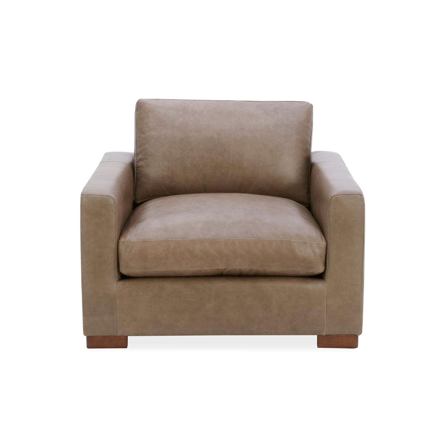 Modern Leather Lounge Chair