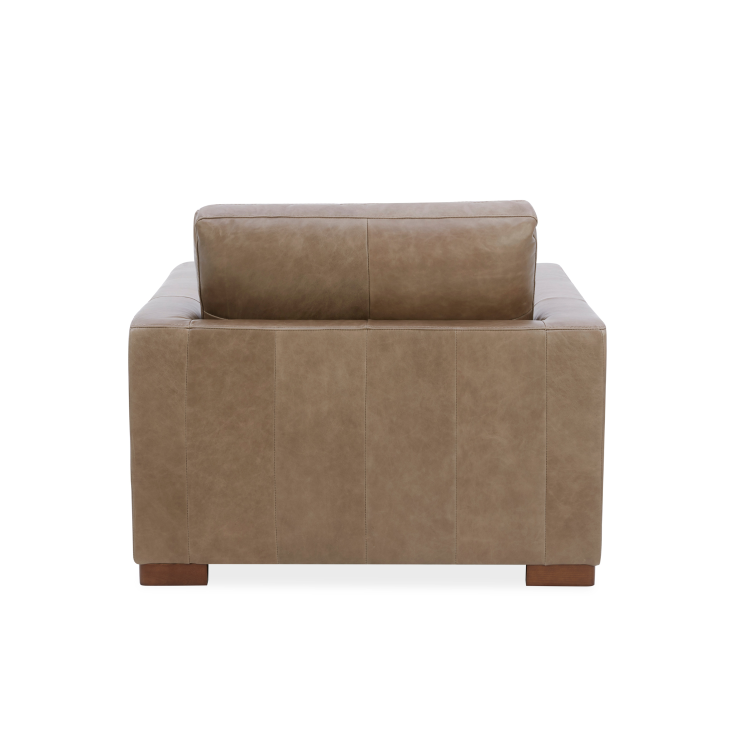 Modern Leather Lounge Chair