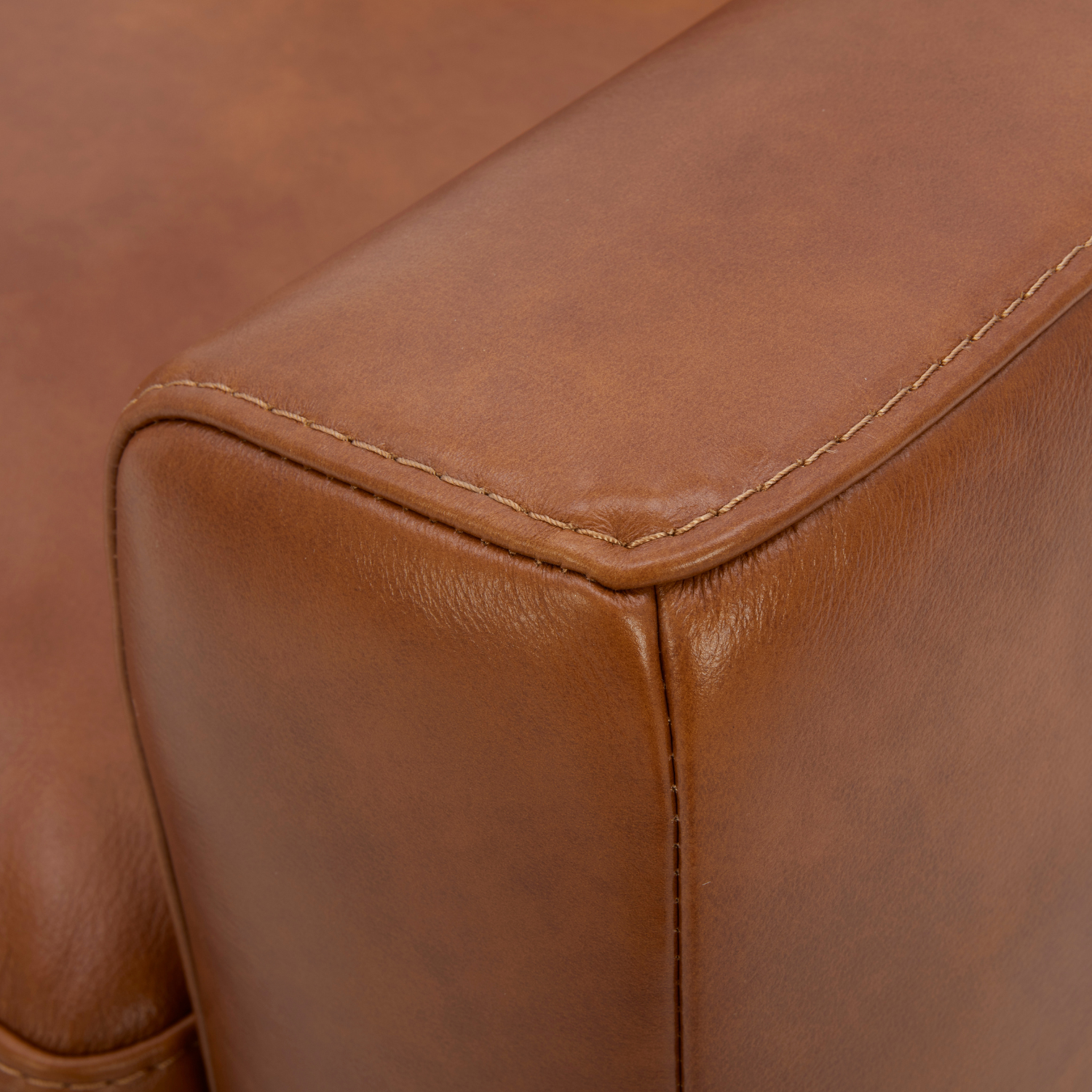 Fauteuil de salon en cuir moderne