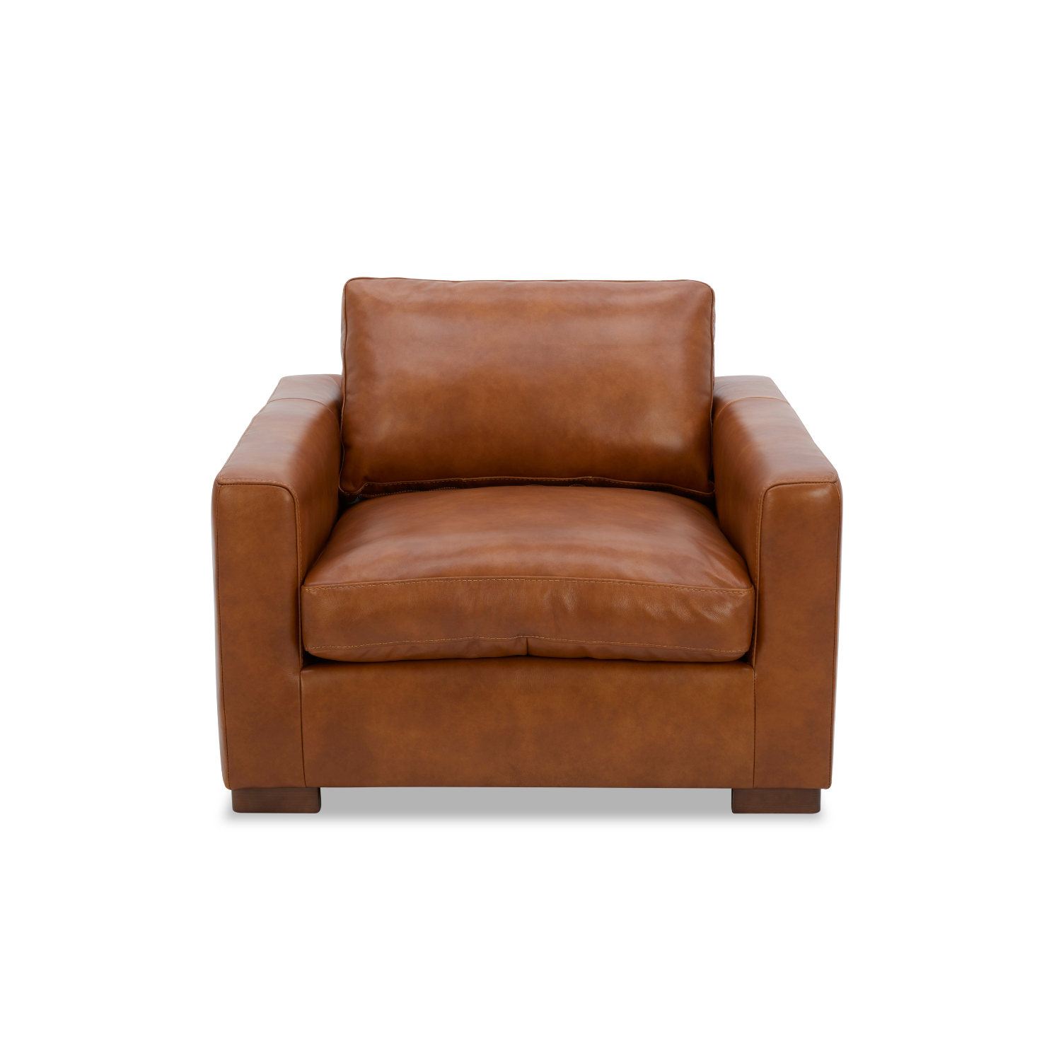 Modern Leather Lounge Chair