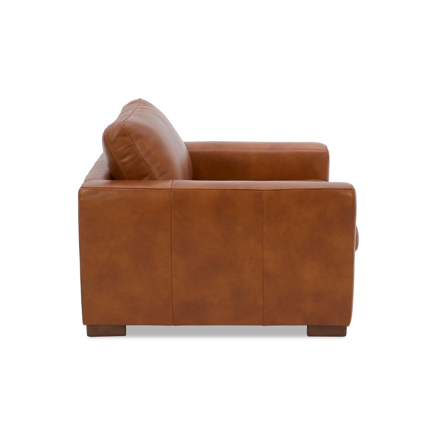 Modern Leather Lounge Chair