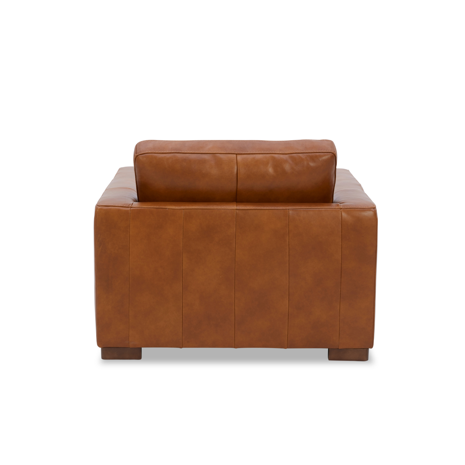 Modern Leather Lounge Chair